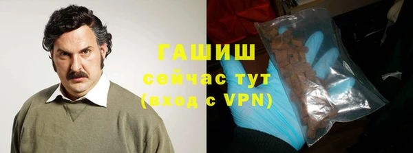 прущие грибы Гусь-Хрустальный