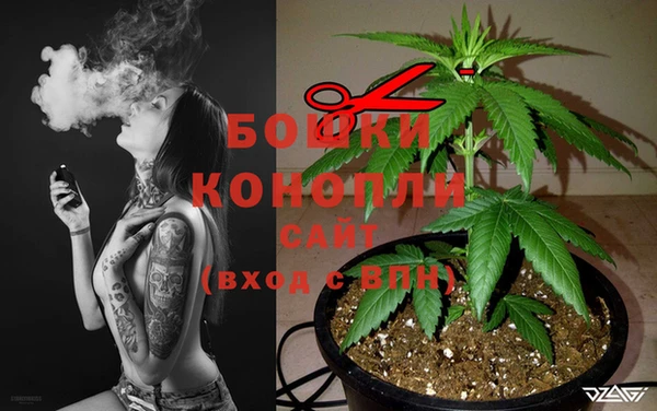 прущие грибы Гусь-Хрустальный