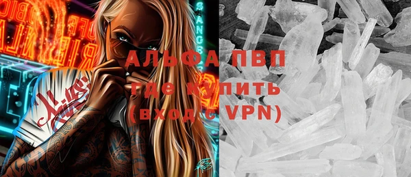 прущие грибы Гусь-Хрустальный