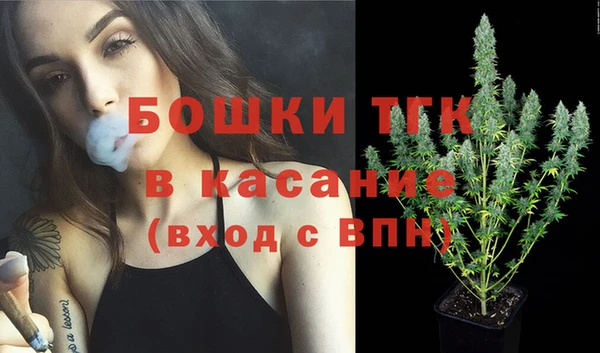 прущие грибы Гусь-Хрустальный