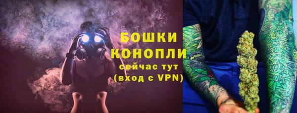 прущие грибы Гусь-Хрустальный