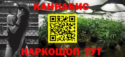 гидропоника Можга