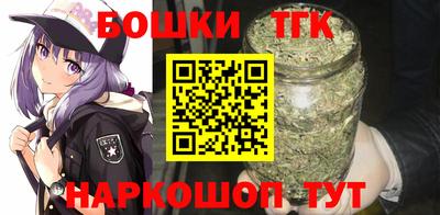гидропоника Можга