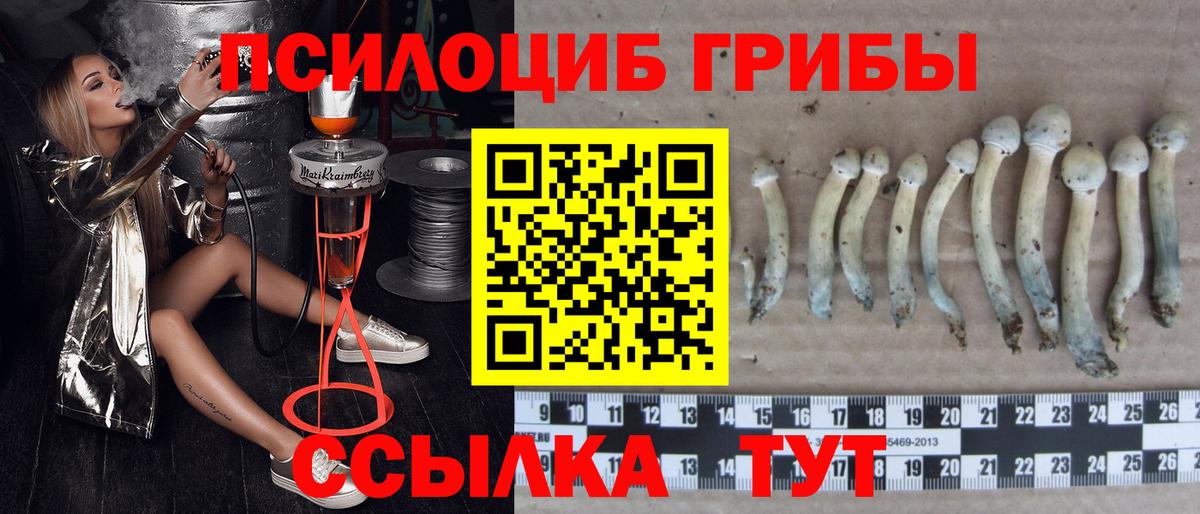 Псилоцибиновые грибы мухоморы  Вход с VPN  Среднеуральск 